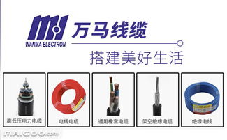 浙江电线电缆品牌 浙江电线电缆厂家 浙江有哪些电线电缆品牌